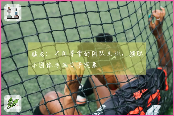 猛龙：不同寻常的团队文化，摆脱小团体与混日子现象